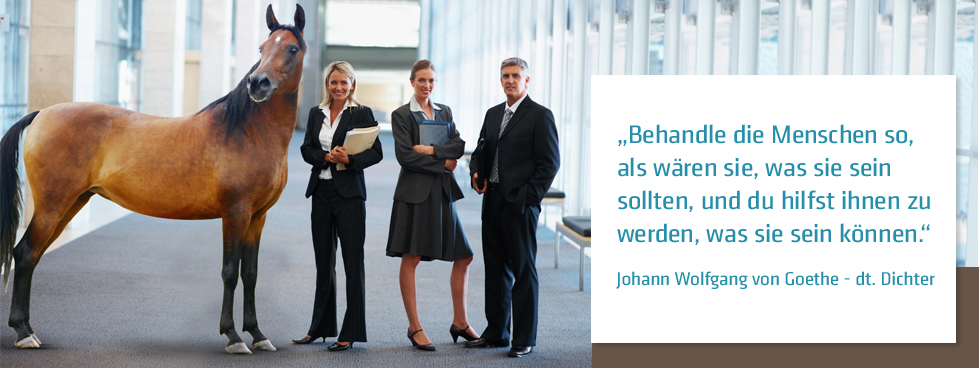 Management-Seminare mit Pferden